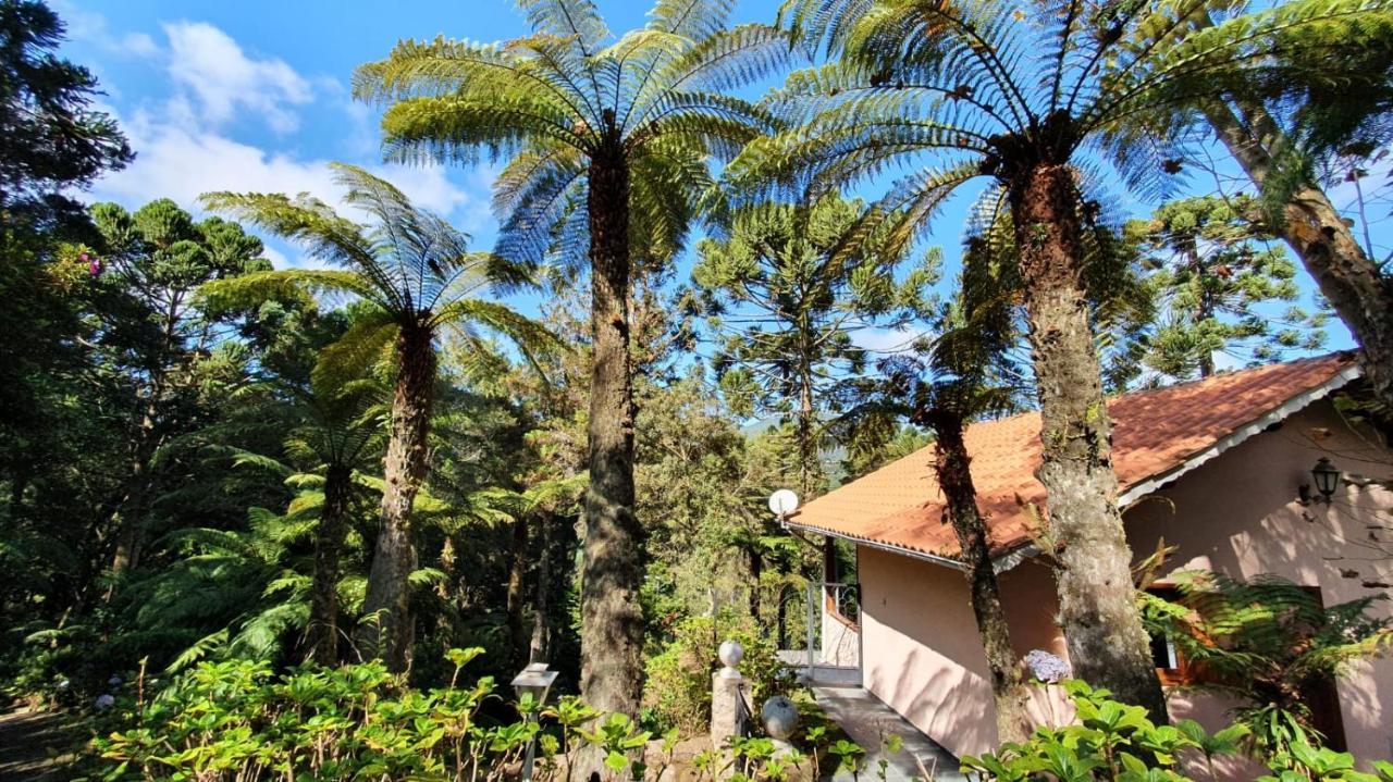 Hotel Pousada Ricanto Amore Mio à Monteverde Extérieur photo