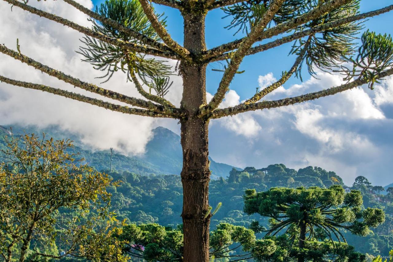 Hotel Pousada Ricanto Amore Mio à Monteverde Extérieur photo