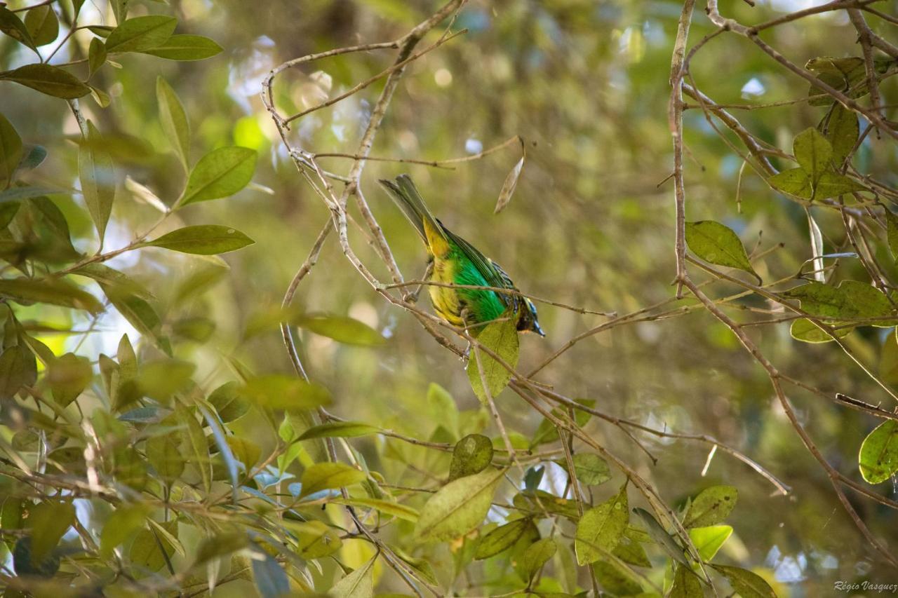 Pousada Ricanto Amore Mio Monteverde Extérieur photo